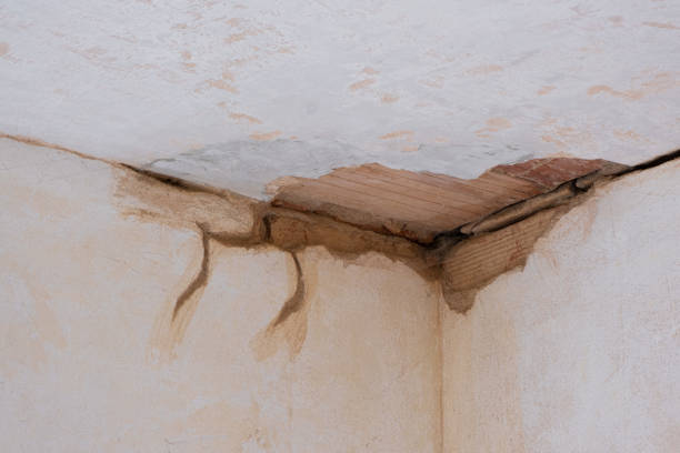 Water damage restoration experts in Avocado Heights, CA
