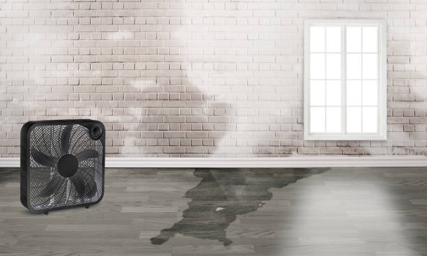Best Commercial water damage restoration  in Avodo Heights, CA