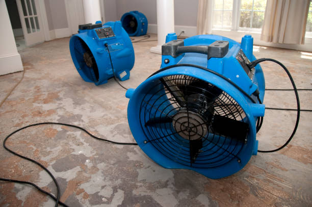 Water damage restoration mold remediation in Avocado Heights, CA